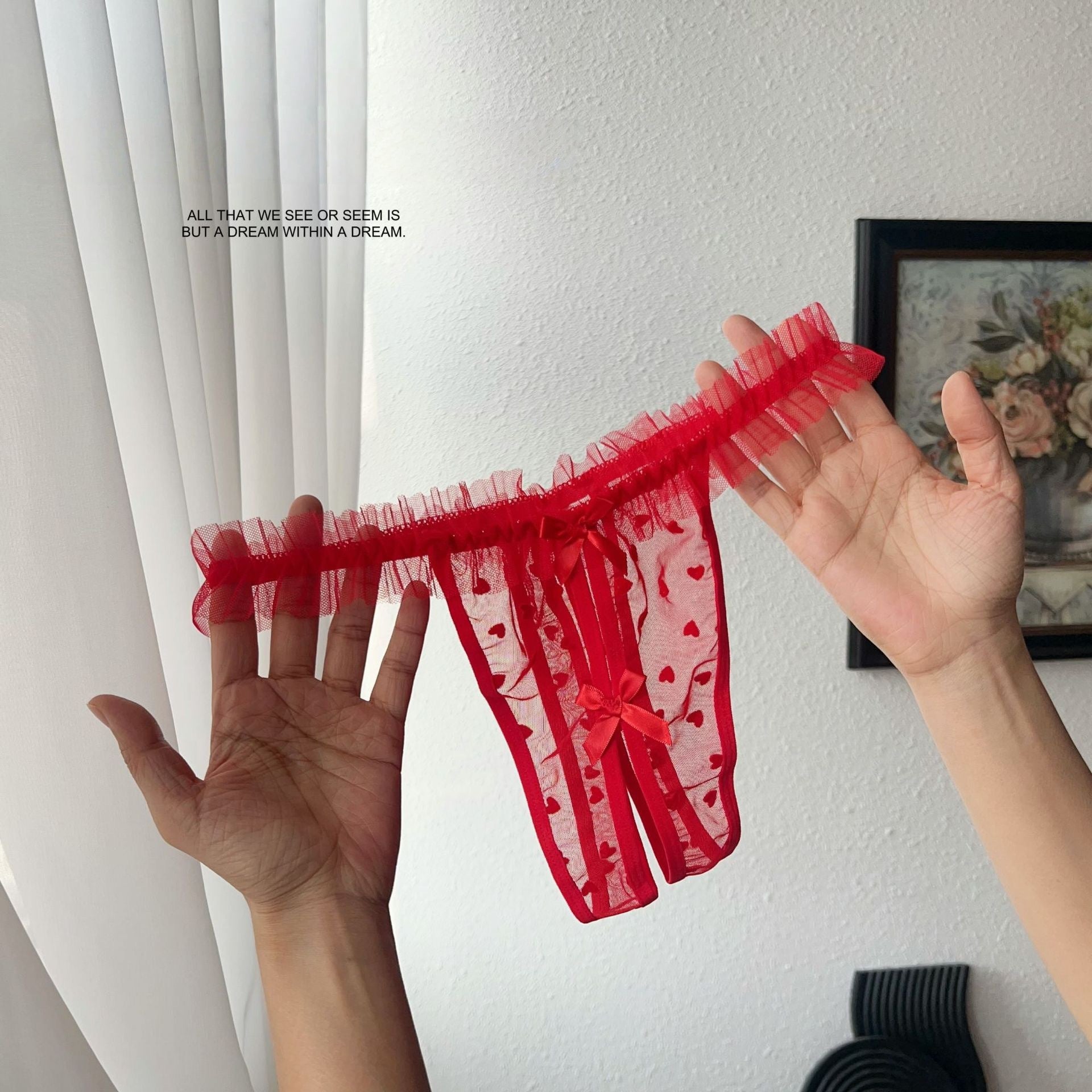 Heart-Patterned Mesh Panties