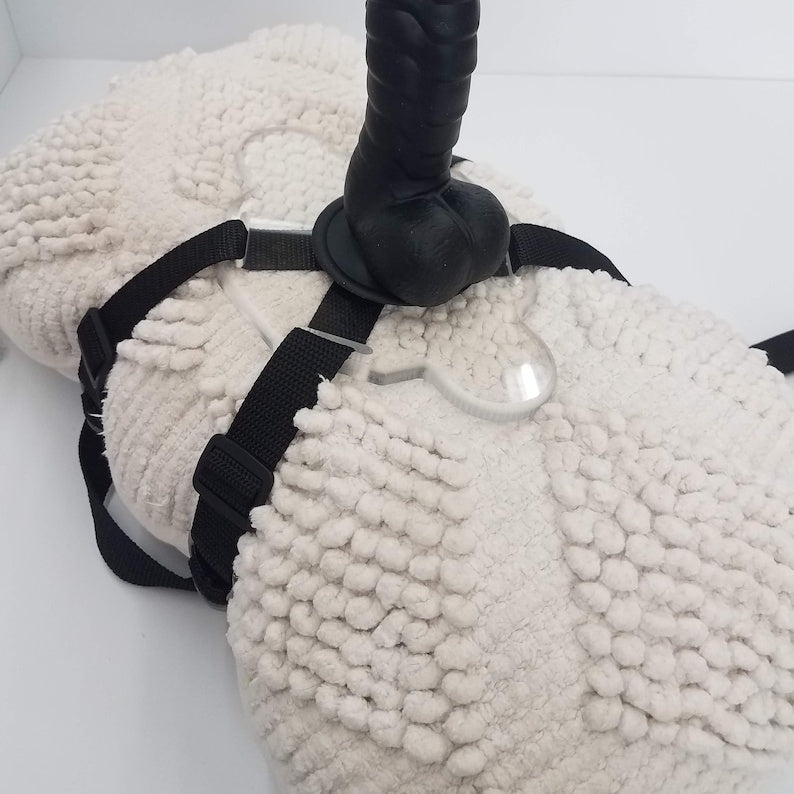 Suction cup holder